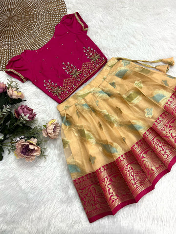 Yara - Pink Organza Designer Minipattu
