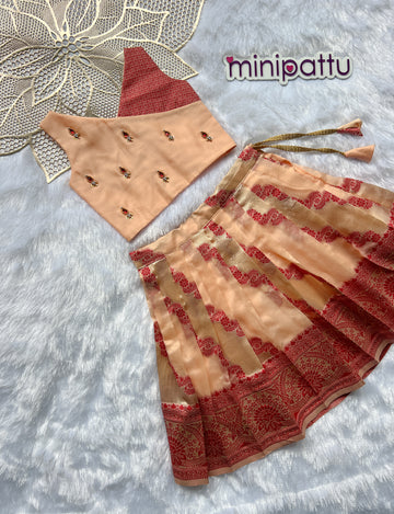 Bindu - Peach Designer Minipattu