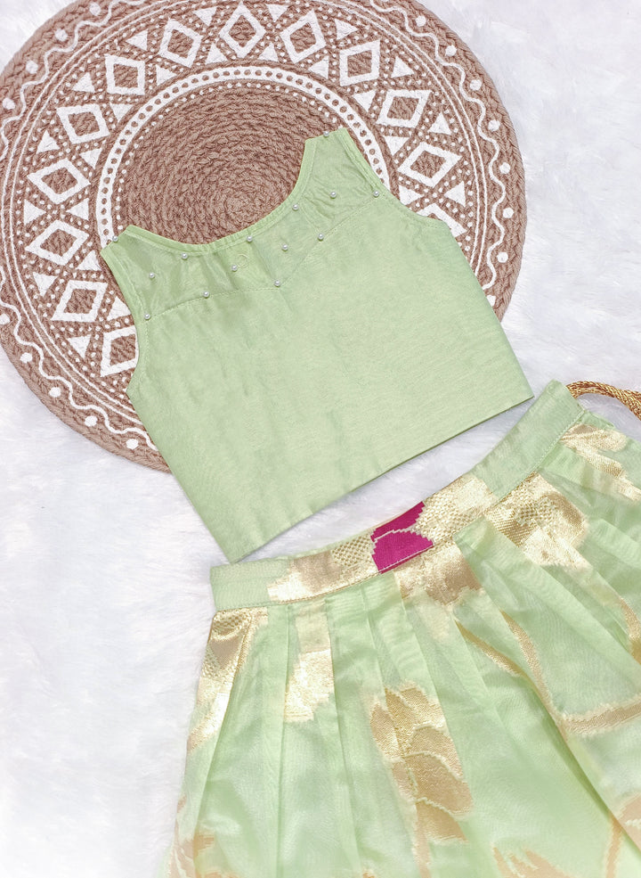 Aditi - Pista Green Designer Minipattu