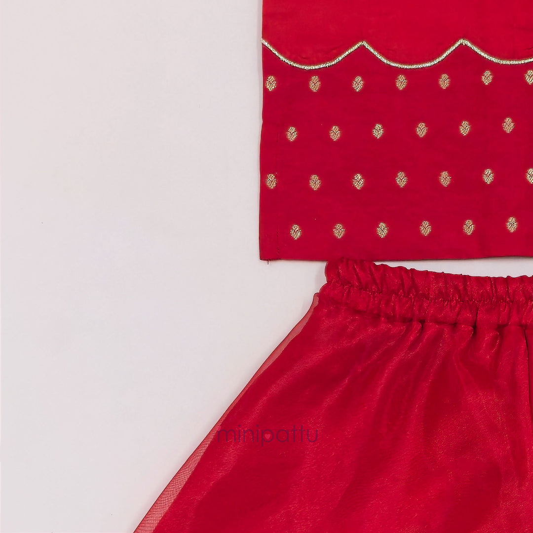 Joshika - Red Designer Sharara Minipattu